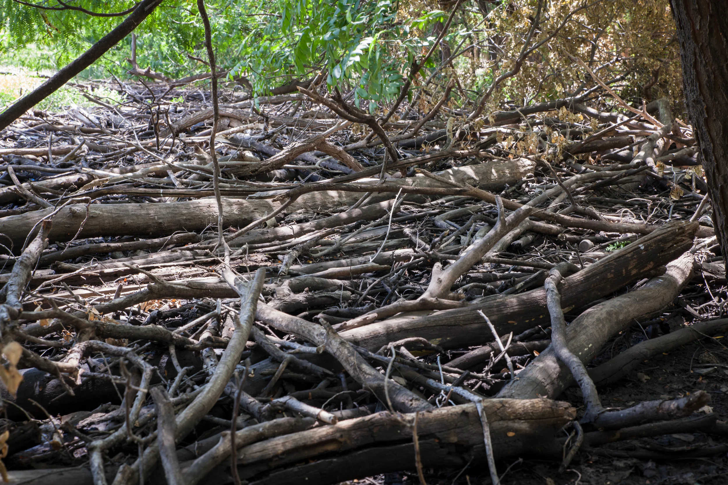 Good Earth Recycling