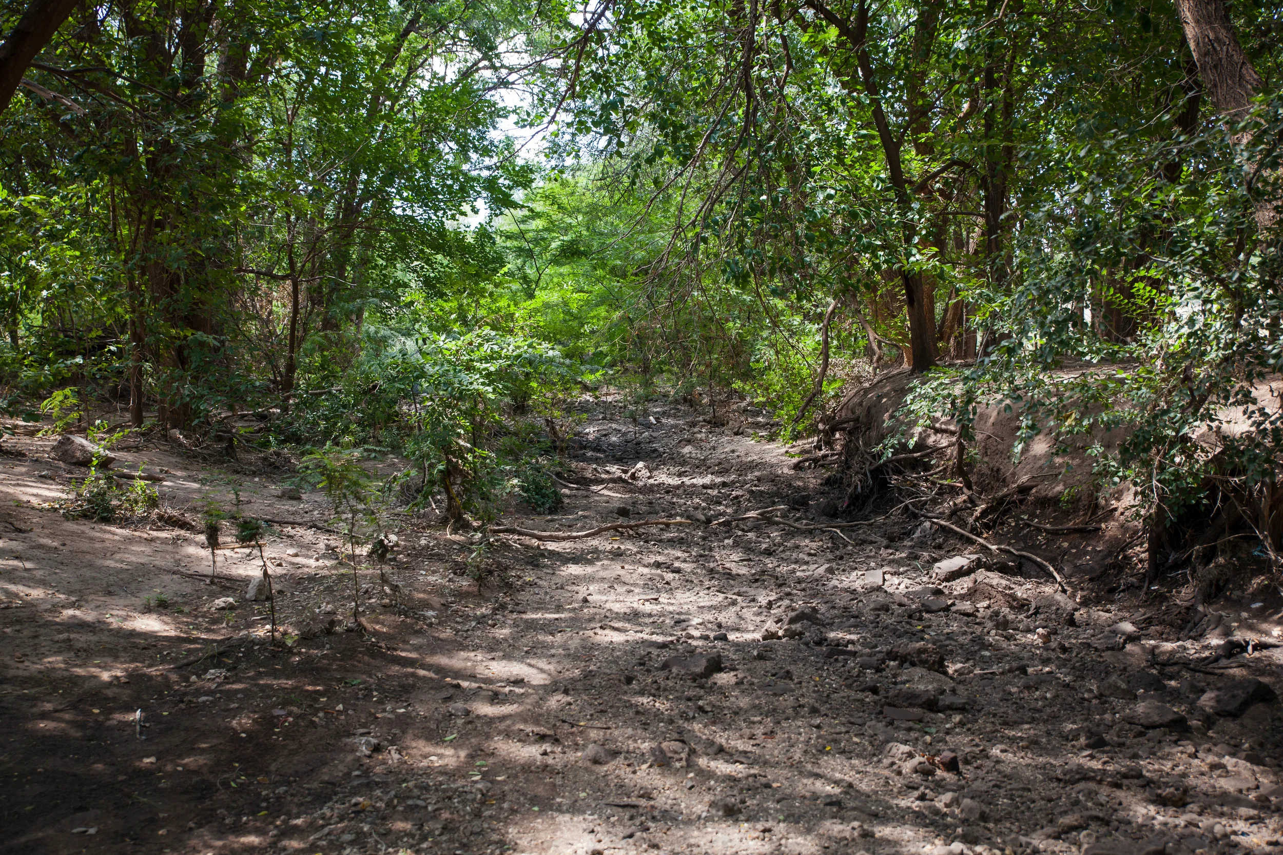 Good Earth Recycling