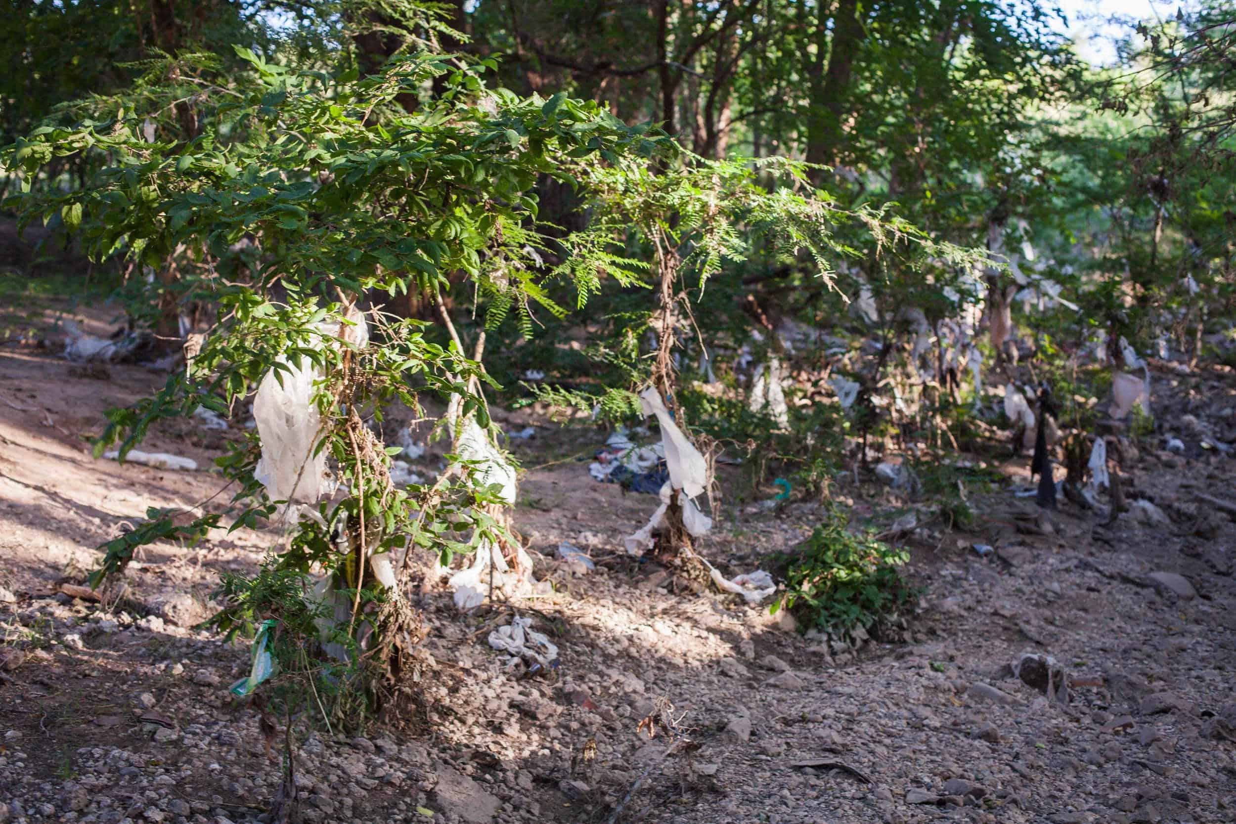 Good Earth Recycling