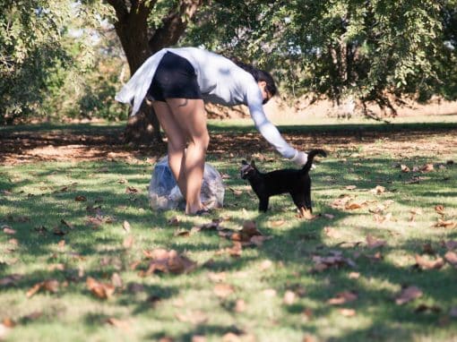 Good Earth Recycling Good Earth Recycling